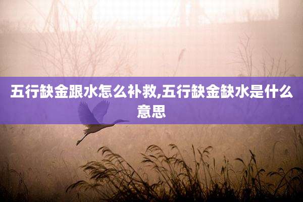 五行缺金跟水怎么补救,五行缺金缺水是什么意思