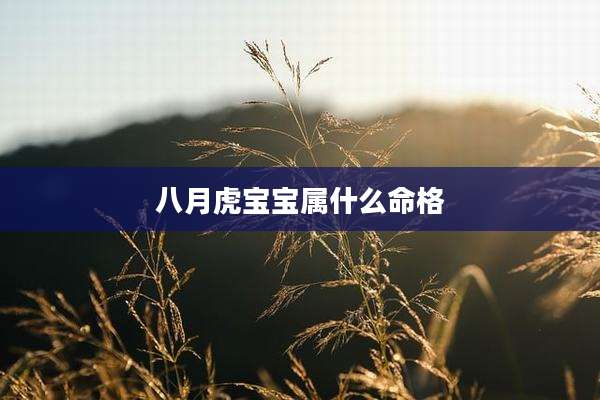 八月虎宝宝属什么命格