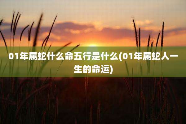 01年属蛇什么命五行是什么(01年属蛇人一生的命运)