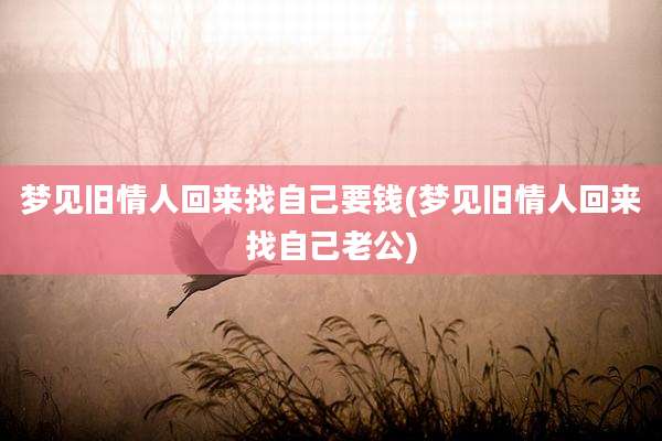 梦见旧情人回来找自己要钱(梦见旧情人回来找自己老公)