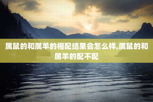 属鼠的和属羊的相配结果会怎么样,属鼠的和属羊的配不配