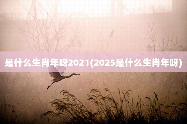是什么生肖年呀2021(2025是什么生肖年呀)
