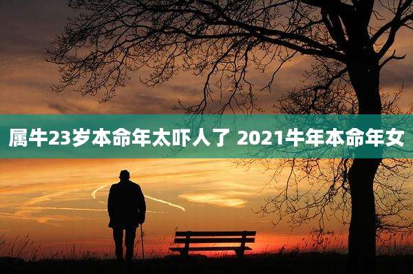 属牛23岁本命年太吓人了 2021牛年本命年女