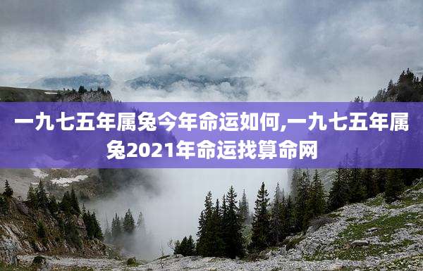 一九七五年属兔今年命运如何,一九七五年属兔2021年命运找算命网
