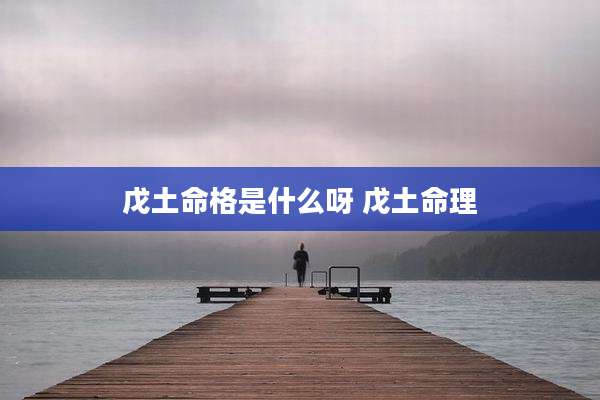 戊土命格是什么呀 戊土命理