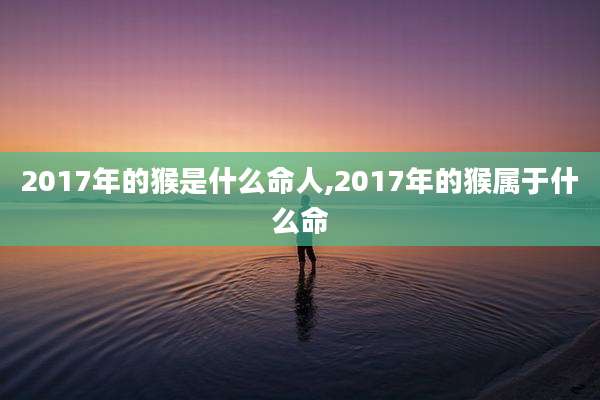 2017年的猴是什么命人,2017年的猴属于什么命