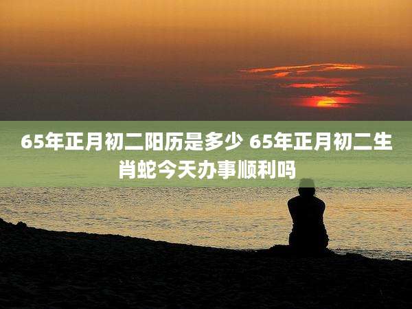 65年正月初二阳历是多少 65年正月初二生肖蛇今天办事顺利吗
