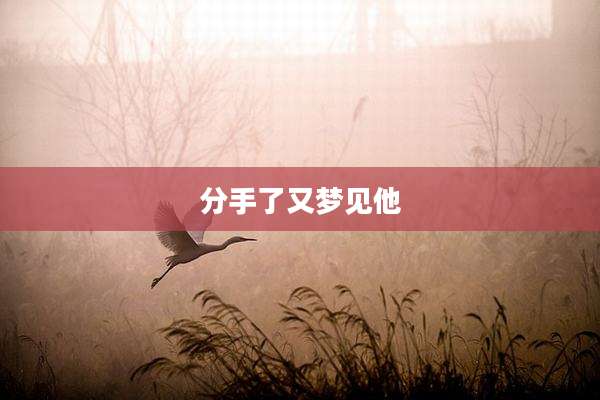 分手了又梦见他