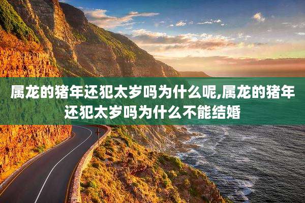 属龙的猪年还犯太岁吗为什么呢,属龙的猪年还犯太岁吗为什么不能结婚