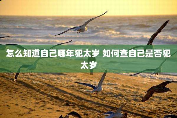 怎么知道自己哪年犯太岁 如何查自己是否犯太岁
