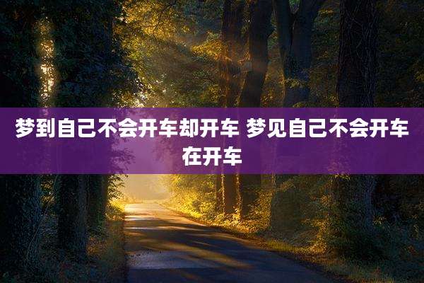 梦到自己不会开车却开车 梦见自己不会开车在开车