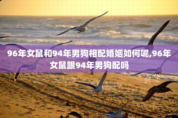 96年女鼠和94年男狗相配婚姻如何呢,96年女鼠跟94年男狗配吗