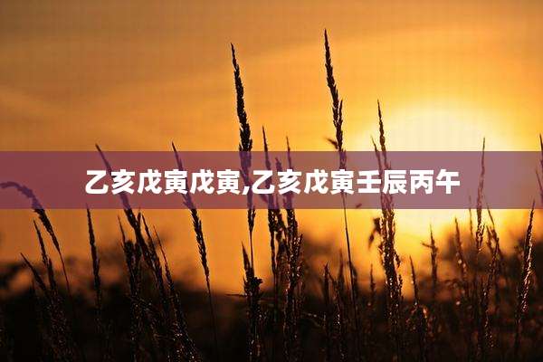 乙亥戊寅戊寅,乙亥戊寅壬辰丙午