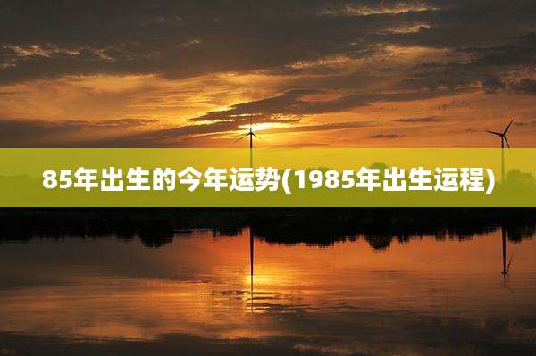 85年出生的今年运势(1985年出生运程)