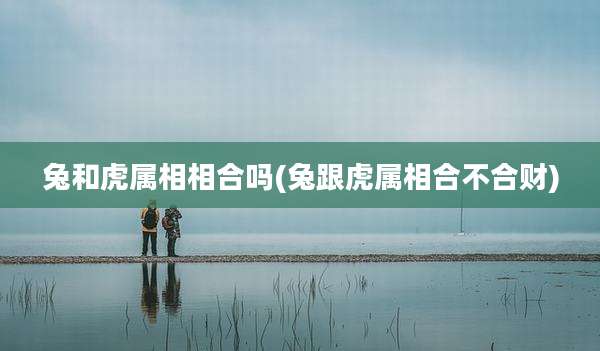 兔和虎属相相合吗(兔跟虎属相合不合财)