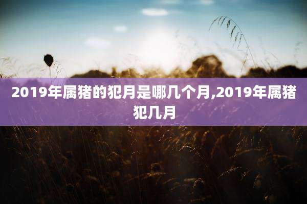 2019年属猪的犯月是哪几个月,2019年属猪犯几月