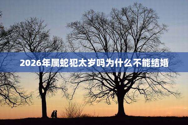 2026年属蛇犯太岁吗为什么不能结婚