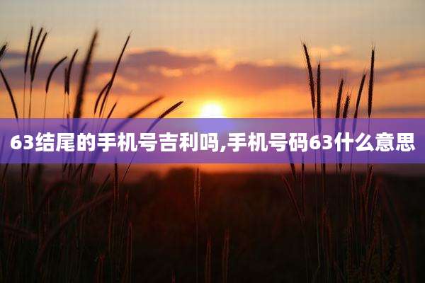 63结尾的手机号吉利吗,手机号码63什么意思