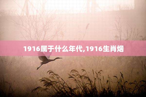 1916属于什么年代,1916生肖烟