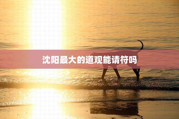 沈阳最大的道观能请符吗