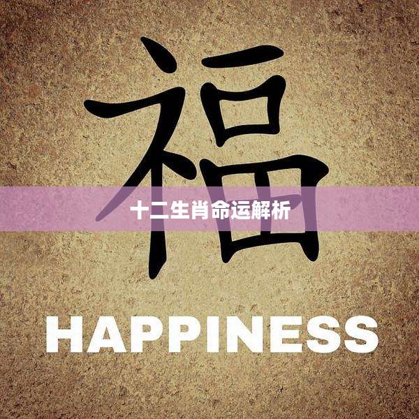 十二生肖命运解析