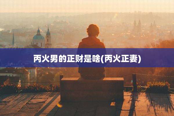 丙火男的正财是啥(丙火正妻)