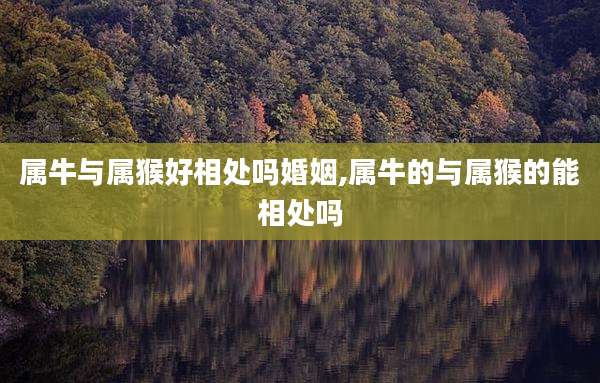 属牛与属猴好相处吗婚姻,属牛的与属猴的能相处吗