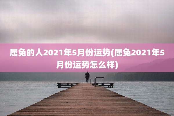 属兔的人2021年5月份运势(属兔2021年5月份运势怎么样)