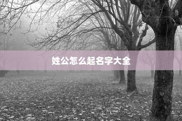 姓公怎么起名字大全