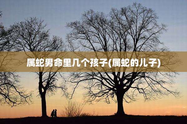 属蛇男命里几个孩子(属蛇的儿子)