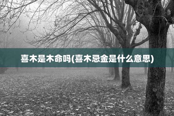 喜木是木命吗(喜木忌金是什么意思)