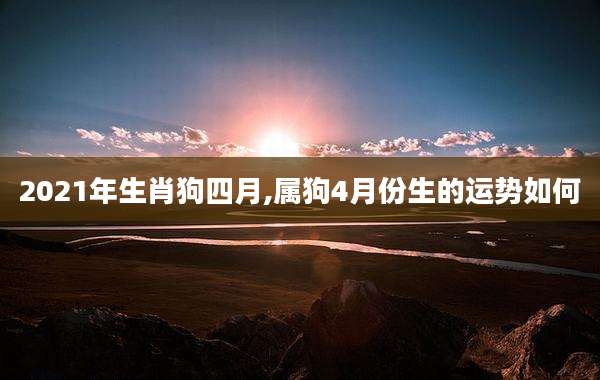 2021年生肖狗四月,属狗4月份生的运势如何