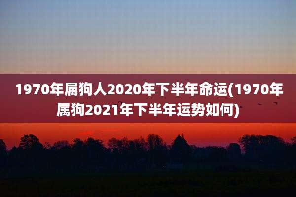 1970年属狗人2020年下半年命运(1970年属狗2021年下半年运势如何)