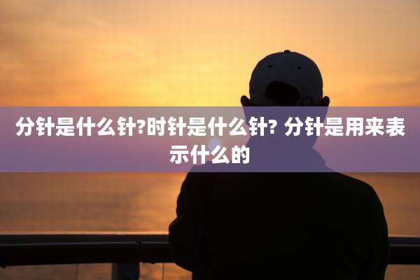 分针是什么针?时针是什么针? 分针是用来表示什么的