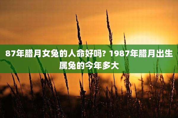 87年腊月女兔的人命好吗? 1987年腊月出生属兔的今年多大