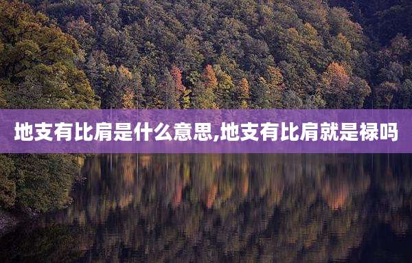 地支有比肩是什么意思,地支有比肩就是禄吗