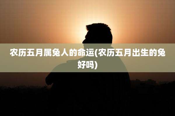 农历五月属兔人的命运(农历五月出生的兔好吗)