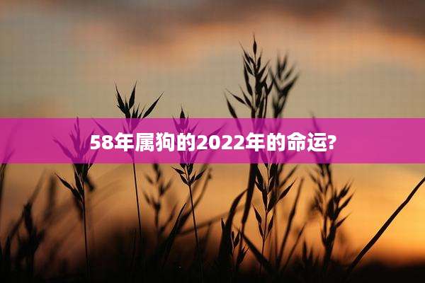 58年属狗的2022年的命运?