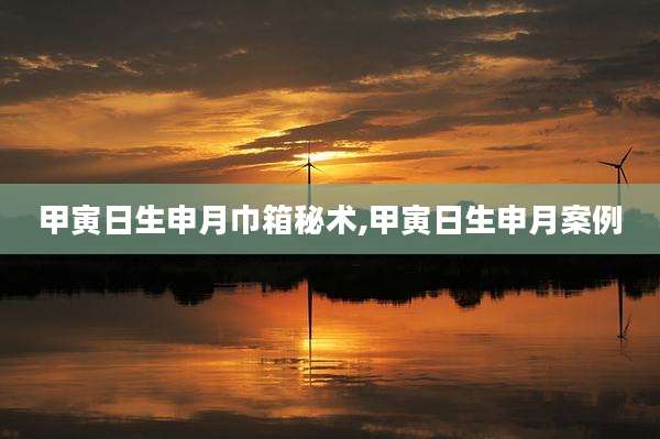 甲寅日生申月巾箱秘术,甲寅日生申月案例