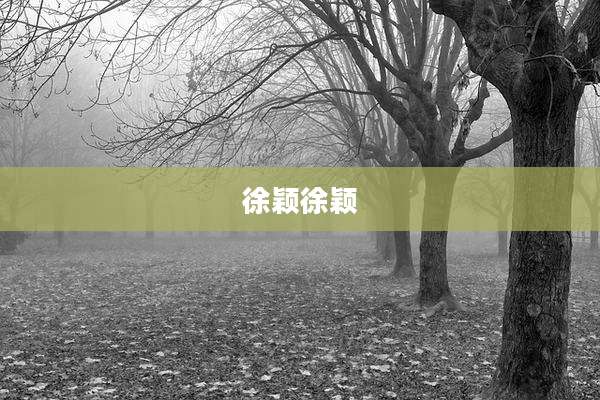 徐颖徐颖