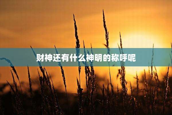 财神还有什么神明的称呼呢