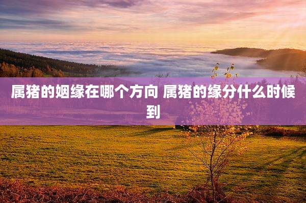 属猪的姻缘在哪个方向 属猪的缘分什么时候到