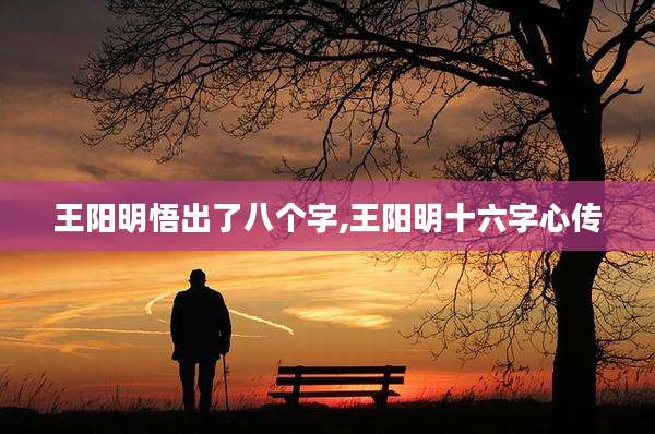王阳明悟出了八个字,王阳明十六字心传