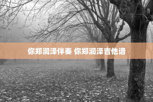 你郑润泽伴奏 你郑润泽吉他谱