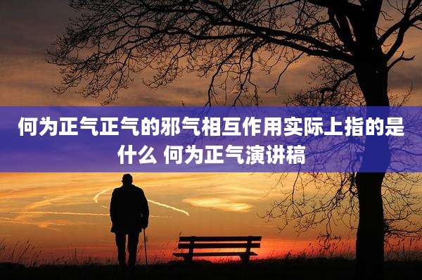 何为正气正气的邪气相互作用实际上指的是什么 何为正气演讲稿