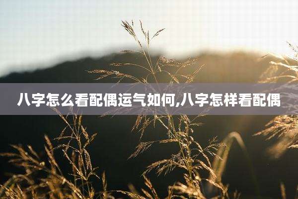 八字怎么看配偶运气如何,八字怎样看配偶