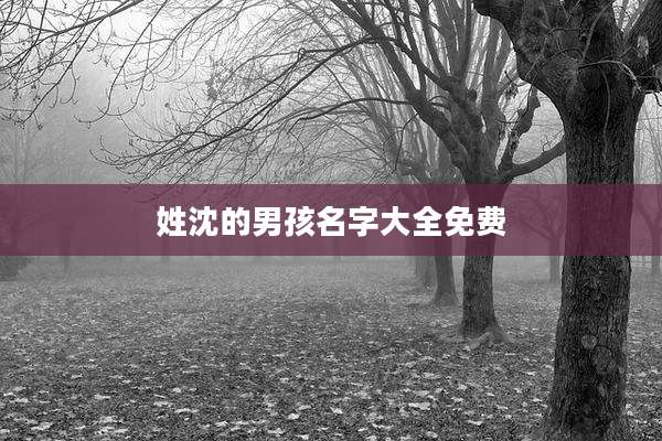 姓沈的男孩名字大全免费