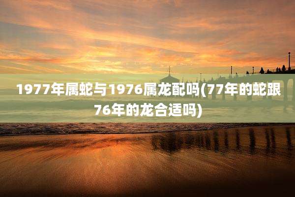 1977年属蛇与1976属龙配吗(77年的蛇跟76年的龙合适吗)