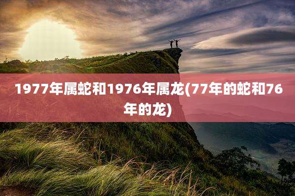 1977年属蛇和1976年属龙(77年的蛇和76年的龙)