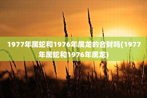 1977年属蛇和1976年属龙的合财吗(1977年属蛇和1976年属龙)